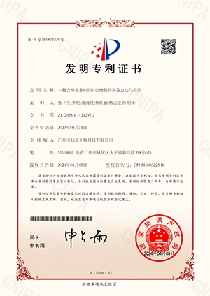 Patent 1